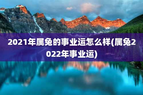 2021年属兔的事业运怎么样(属兔2022年事业运)