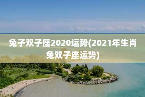 兔子双子座2020运势(2021年生肖兔双子座运势)