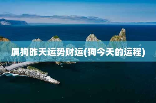 属狗昨天运势财运(狗今天的运程)