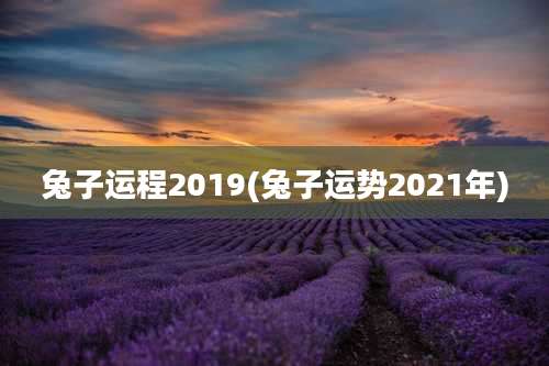 兔子运程2019(兔子运势2021年)