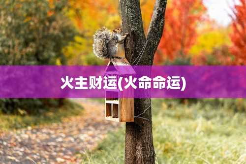 火主财运(火命命运)