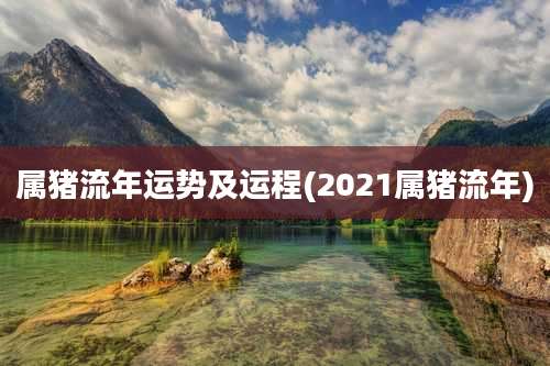 属猪流年运势及运程(2021属猪流年)
