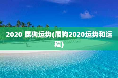 2020 属狗运势(属狗2020运势和运程)