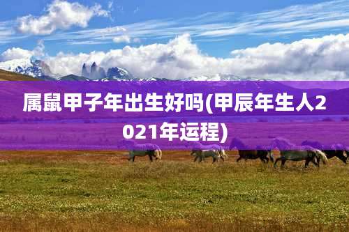 属鼠甲子年出生好吗(甲辰年生人2021年运程)