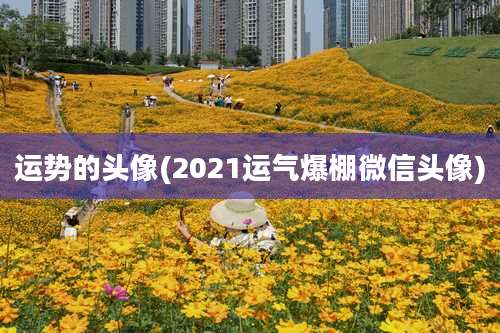 运势的头像(2021运气爆棚微信头像)