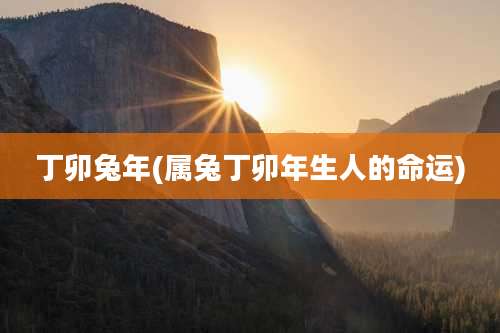 丁卯兔年(属兔丁卯年生人的命运)