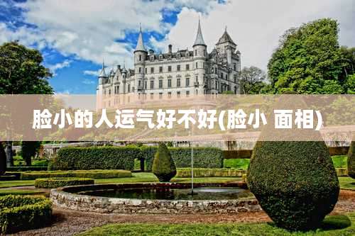 脸小的人运气好不好(脸小 面相)