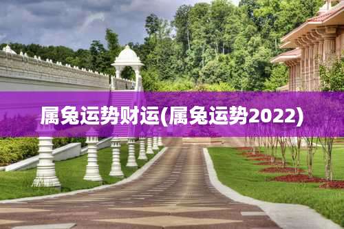 属兔运势财运(属兔运势2022)