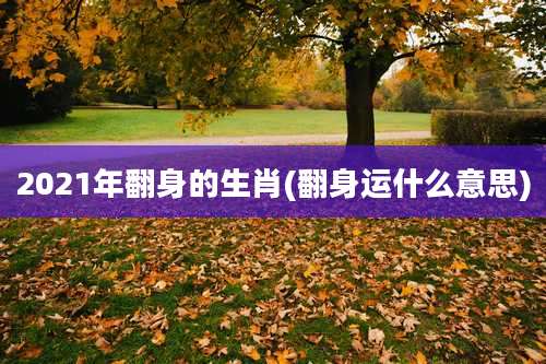 2021年翻身的生肖(翻身运什么意思)