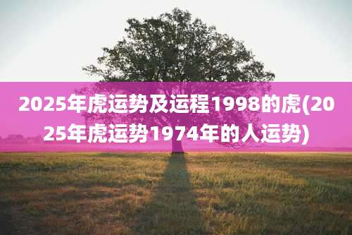 2025年虎运势及运程1998的虎(2025年虎运势1974年的人运势)