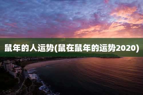 鼠年的人运势(鼠在鼠年的运势2020)