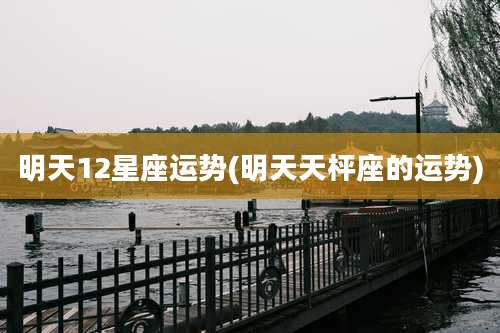 明天12星座运势(明天天枰座的运势)