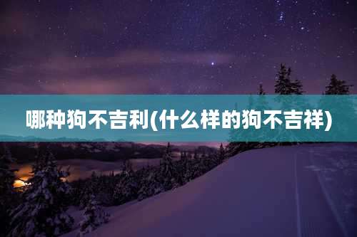 哪种狗不吉利(什么样的狗不吉祥)