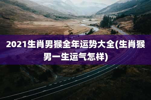 2021生肖男猴全年运势大全(生肖猴男一生运气怎样)