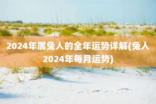 2024年属兔人的全年运势详解(兔人2024年每月运势)