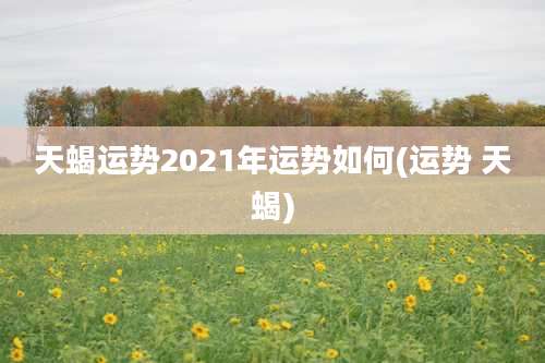 天蝎运势2021年运势如何(运势 天蝎)
