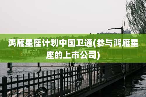 鸿雁星座计划中国卫通(参与鸿雁星座的上市公司)