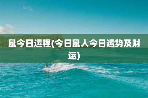 鼠今日运程(今日鼠人今日运势及财运)