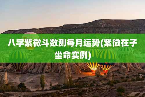 八字紫微斗数测每月运势(紫微在子坐命实例)