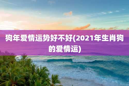 狗年爱情运势好不好(2021年生肖狗的爱情运)