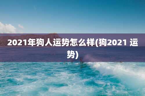 2021年狗人运势怎么样(狗2021 运势)