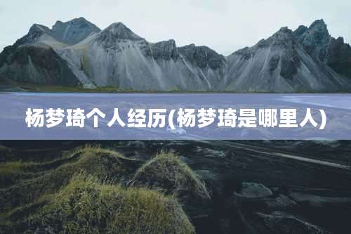 杨梦琦个人经历(杨梦琦是哪里人)