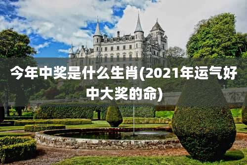 今年中奖是什么生肖(2021年运气好中大奖的命)