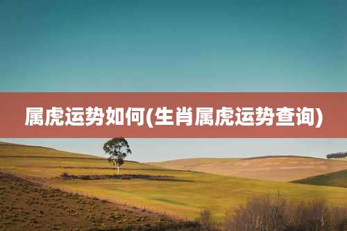 属虎运势如何(生肖属虎运势查询)