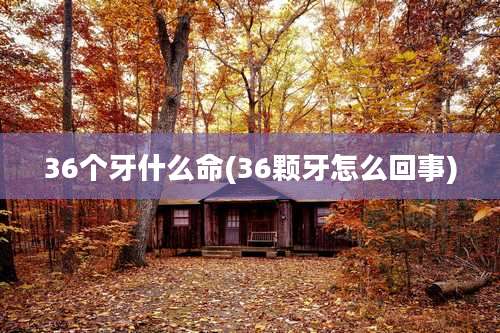 36个牙什么命(36颗牙怎么回事)