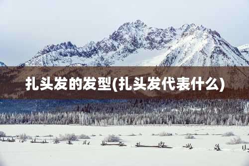 扎头发的发型(扎头发代表什么)