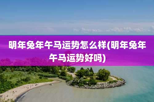 明年兔年午马运势怎么样(明年兔年午马运势好吗)