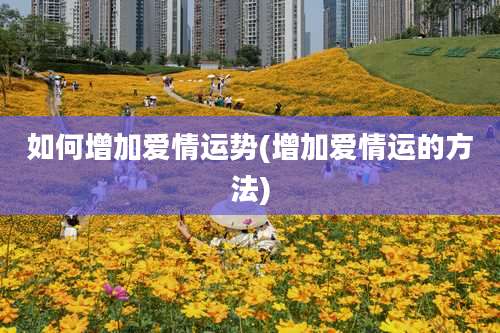 如何增加爱情运势(增加爱情运的方法)