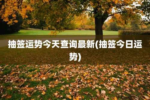 抽签运势今天查询最新(抽签今日运势)