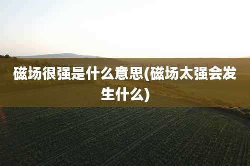 磁场很强是什么意思(磁场太强会发生什么)
