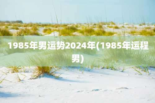 1985年男运势2024年(1985年运程男)