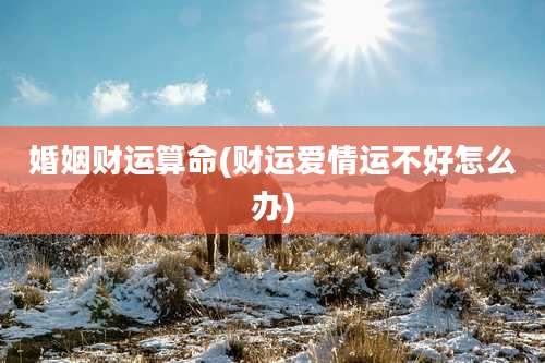 婚姻财运算命(财运爱情运不好怎么办)