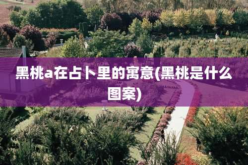 黑桃a在占卜里的寓意(黑桃是什么图案)