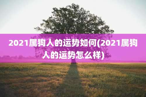 2021属狗人的运势如何(2021属狗人的运势怎么样)