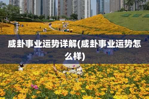 咸卦事业运势详解(咸卦事业运势怎么样)