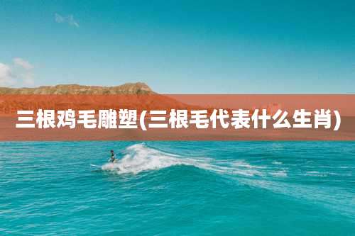 三根鸡毛雕塑(三根毛代表什么生肖)