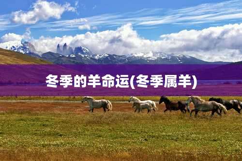 冬季的羊命运(冬季属羊)