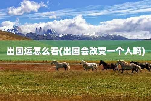 出国运怎么看(出国会改变一个人吗)