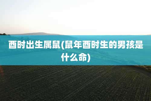 酉时出生属鼠(鼠年酉时生的男孩是什么命)