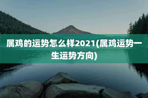 属鸡的运势怎么样2021(属鸡运势一生运势方向)