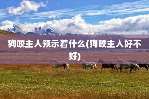 狗咬主人预示着什么(狗咬主人好不好)