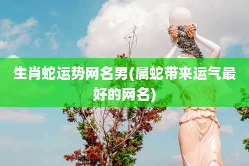 生肖蛇运势网名男(属蛇带来运气最好的网名)