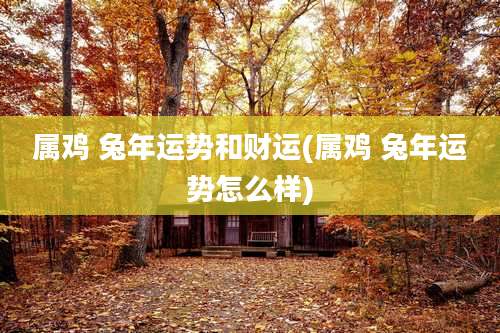 属鸡 兔年运势和财运(属鸡 兔年运势怎么样)