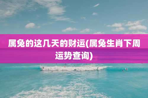 属兔的这几天的财运(属兔生肖下周运势查询)