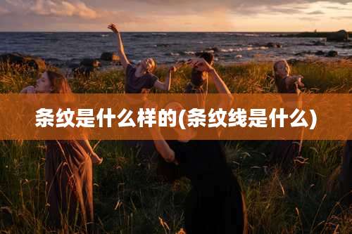 条纹是什么样的(条纹线是什么)