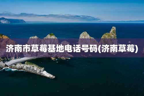 济南市草莓基地电话号码(济南草莓)